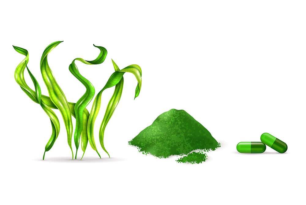 La espirulina un superalimento muy eficaz. También llamada microalga verdeazulada, que por sus beneficios es considerada un superalimento.