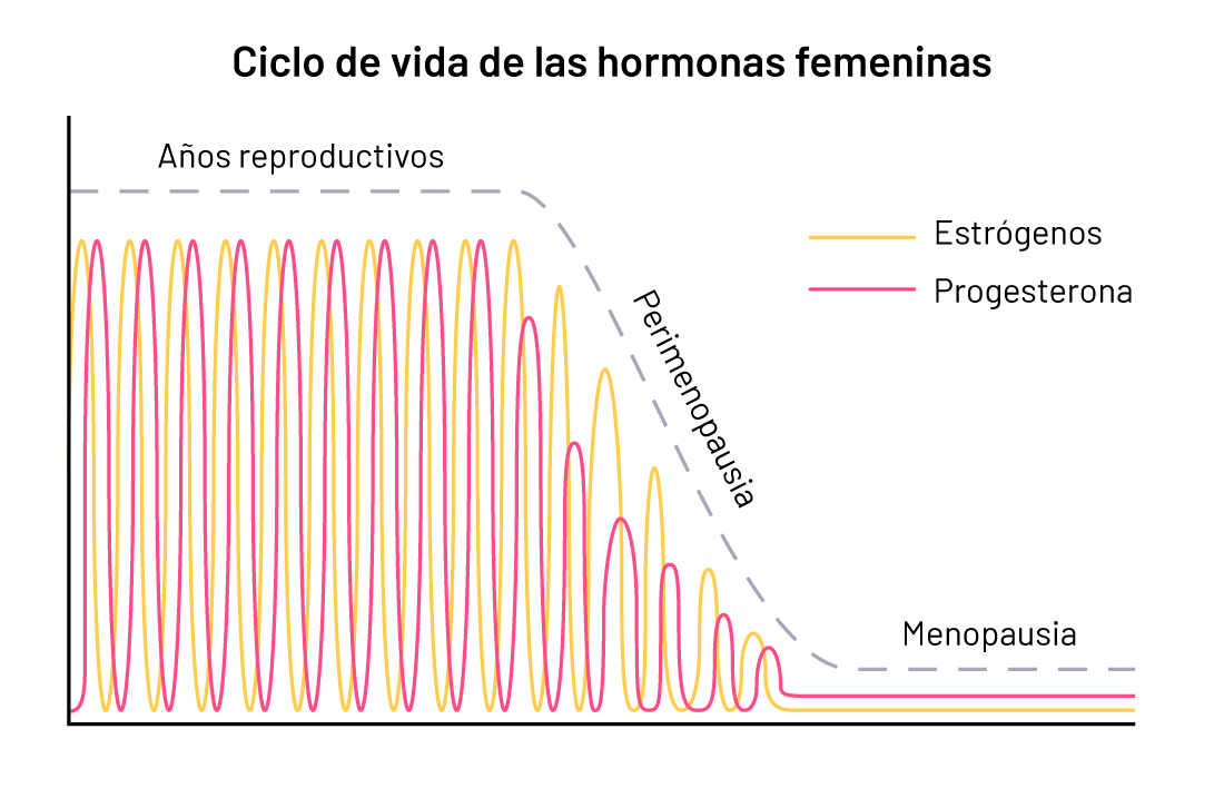 Nutrición en menopausia