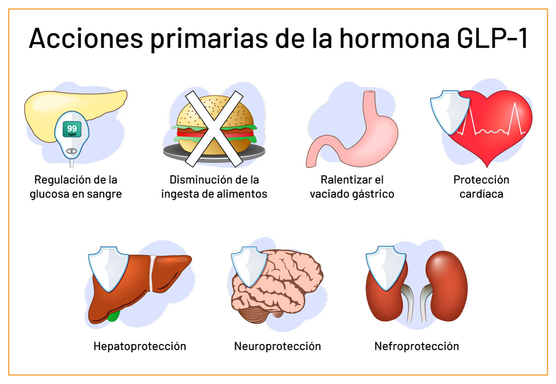 La hormona GLP‑1 puede mejorar tu saciedad La hormona GLP‑1 puede mejorar tu saciedad y ayudarte a recuperar el control, pero sin magia. Consúltanos tus dudas sobre esto.